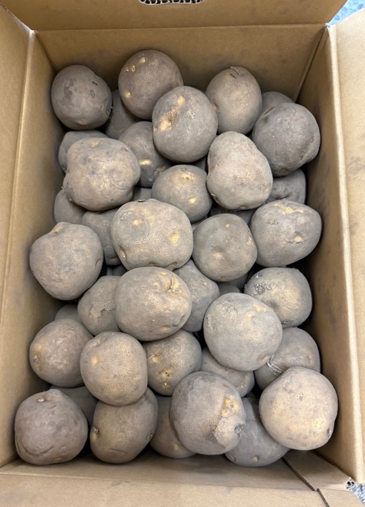 全体のレビュー画像 | 3-0