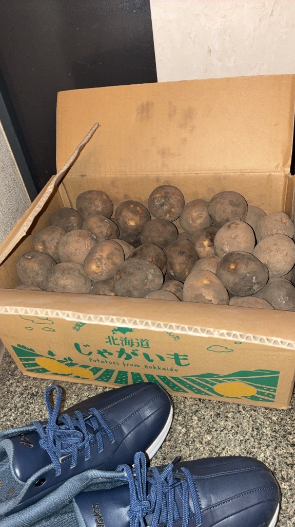 全体のレビュー画像 | 0-0