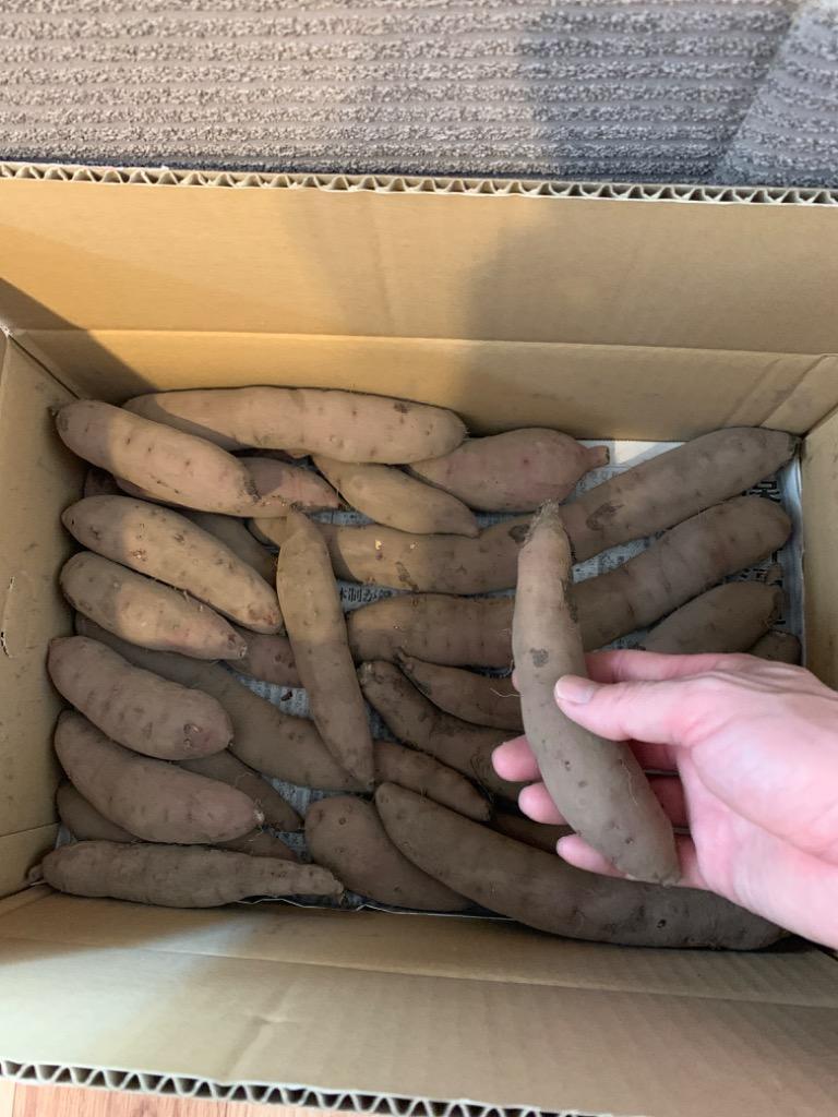 1件目のレビュー画像 | 0