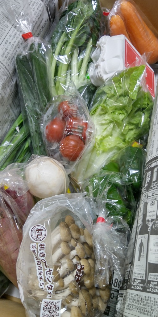 野菜セット 10品目 選べるたまご 直送野菜 新鮮 採れたて 茨城県