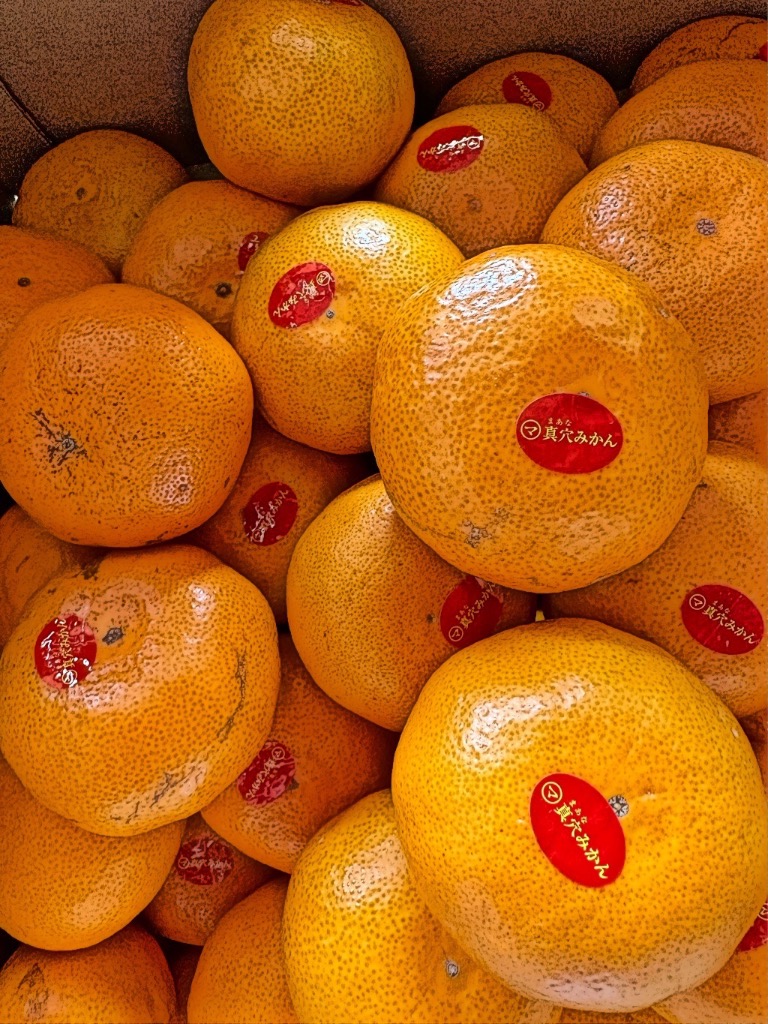 お歳暮 2025 ギフト 歳暮 フルーツ みかん 愛媛県産 真穴みかん（風の