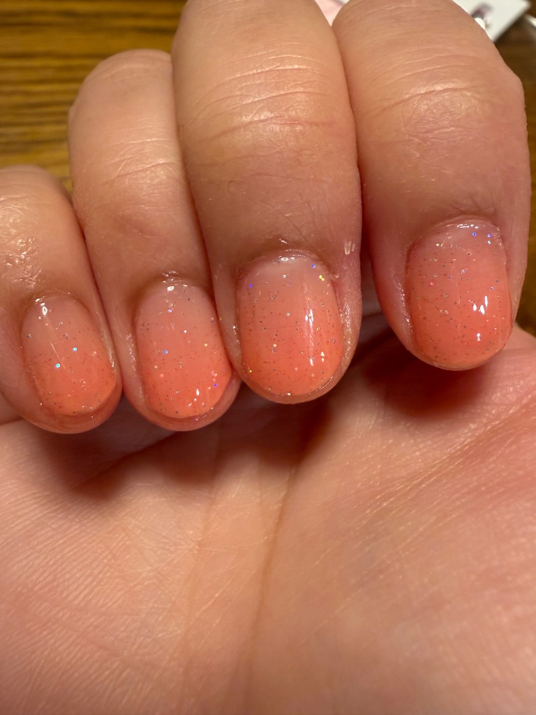 全体のレビュー画像 | 0-0