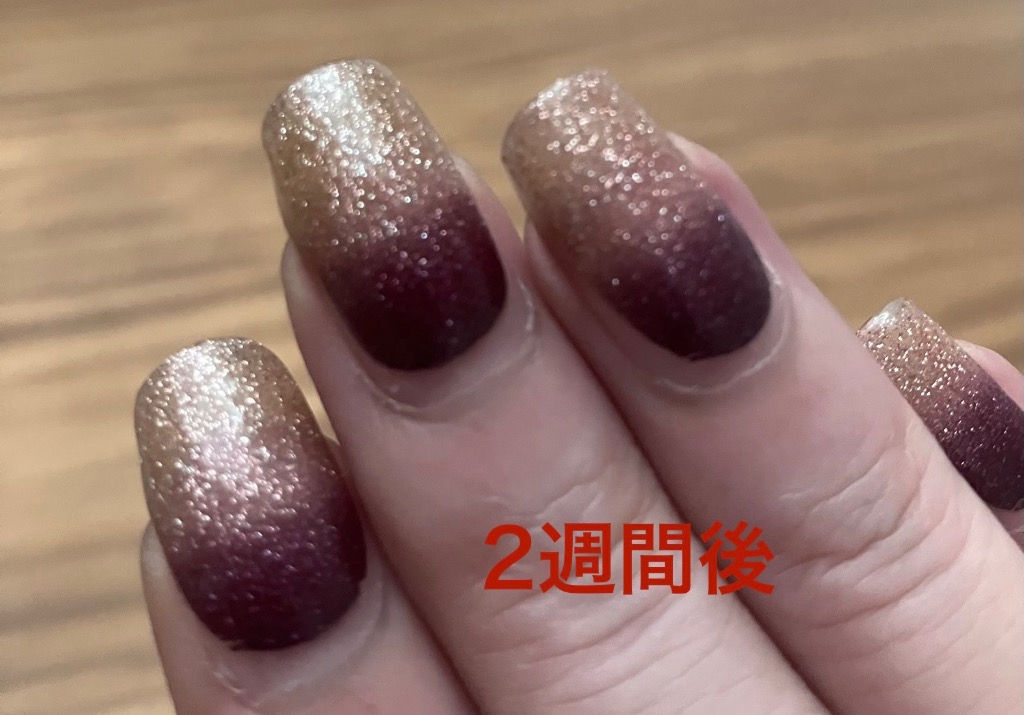 全体のレビュー画像 | 0-1