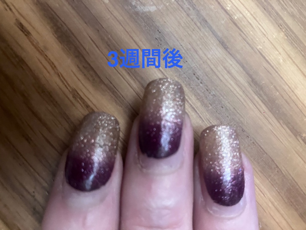 全体のレビュー画像 | 0-2