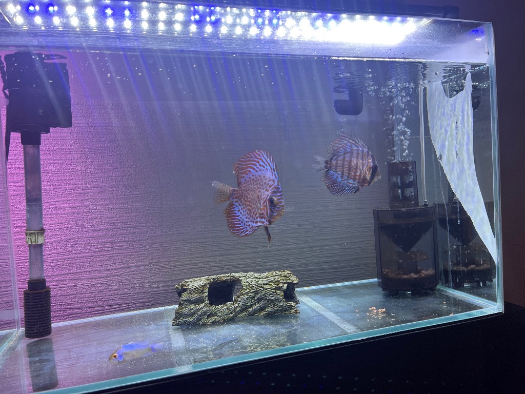 60cm〜80cm 青/白 水槽 LED 照明 伸縮プレート型 薄型スリムタイプ
