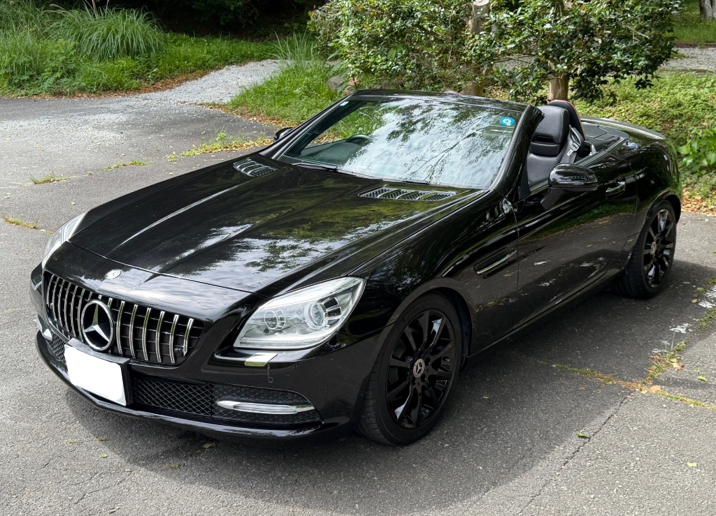 ベンツ SLKクラス R172 前期 パナメリカーナ グリル AMG GTR GT ルック