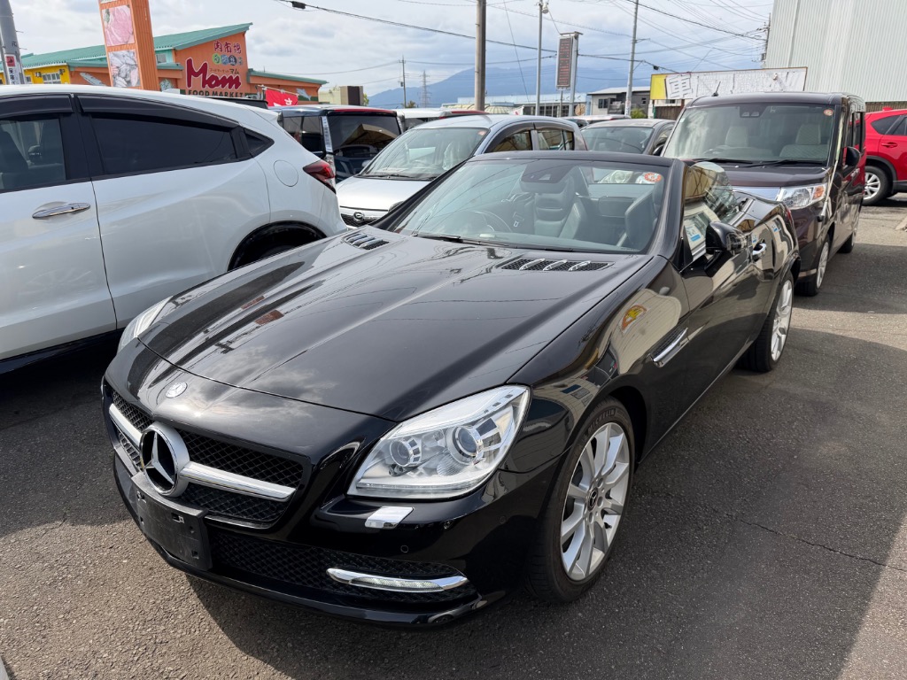 ベンツ SLKクラス R172 前期 パナメリカーナ グリル AMG GTR GT ルック