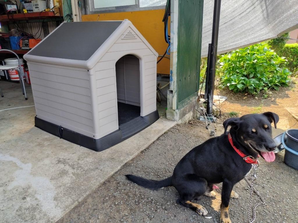 犬小屋 KETER ドッグハウス 犬舎 ペットハウス 屋外 室外 おしゃれ 犬 大型犬 中型犬 収納庫 プラスチック製 : o401 :  イノセントYahoo!ショップ - 通販 - Yahoo!ショッピング