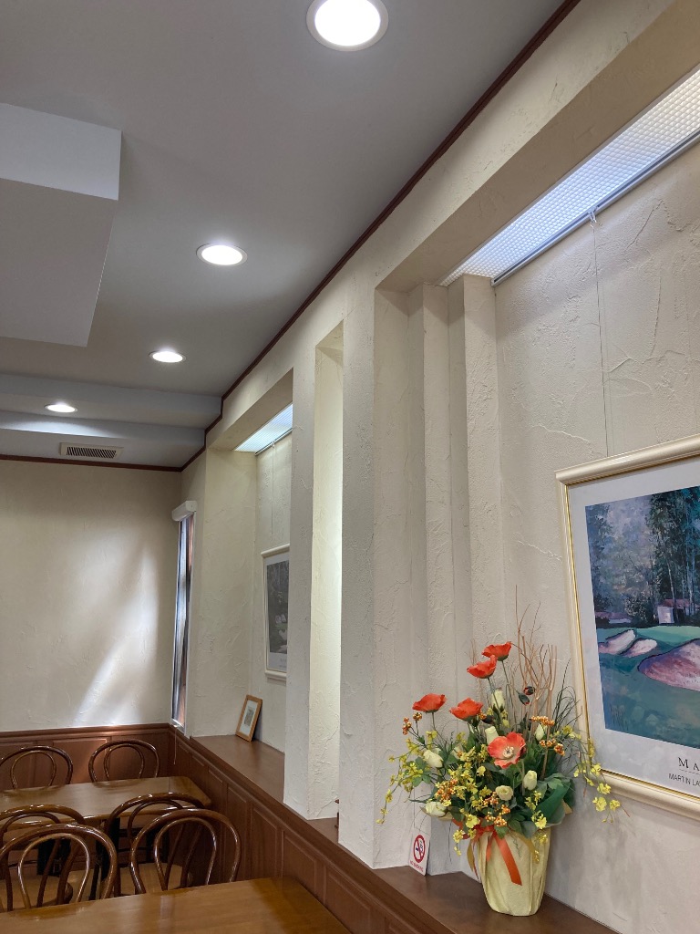 IRIS OHYAMA（アイリスオーヤマ） ダウンライト LED 150φ LED照明器具