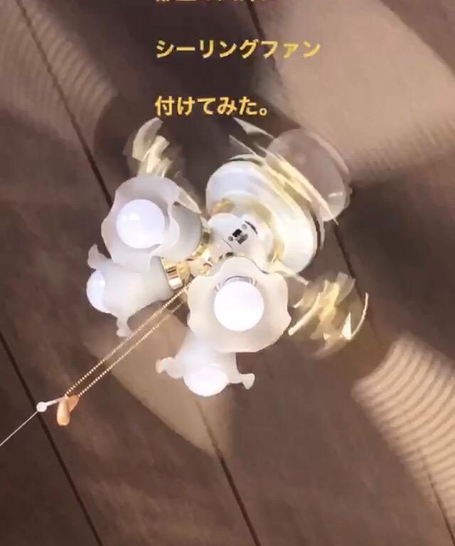 シーリングファンライト シーリングファン LED ファン ファン