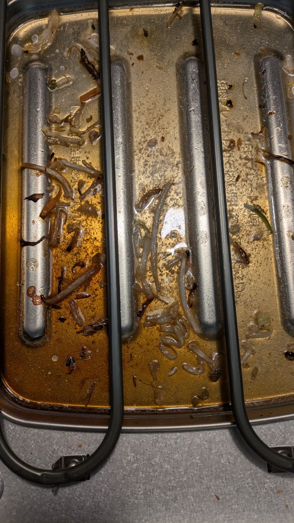 全体のレビュー画像 | 1-5