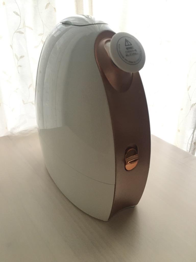 エステ用フェイススチーマー フェイススチーマー 美顔器 フェイシャルスチーマー 美顔 エステ