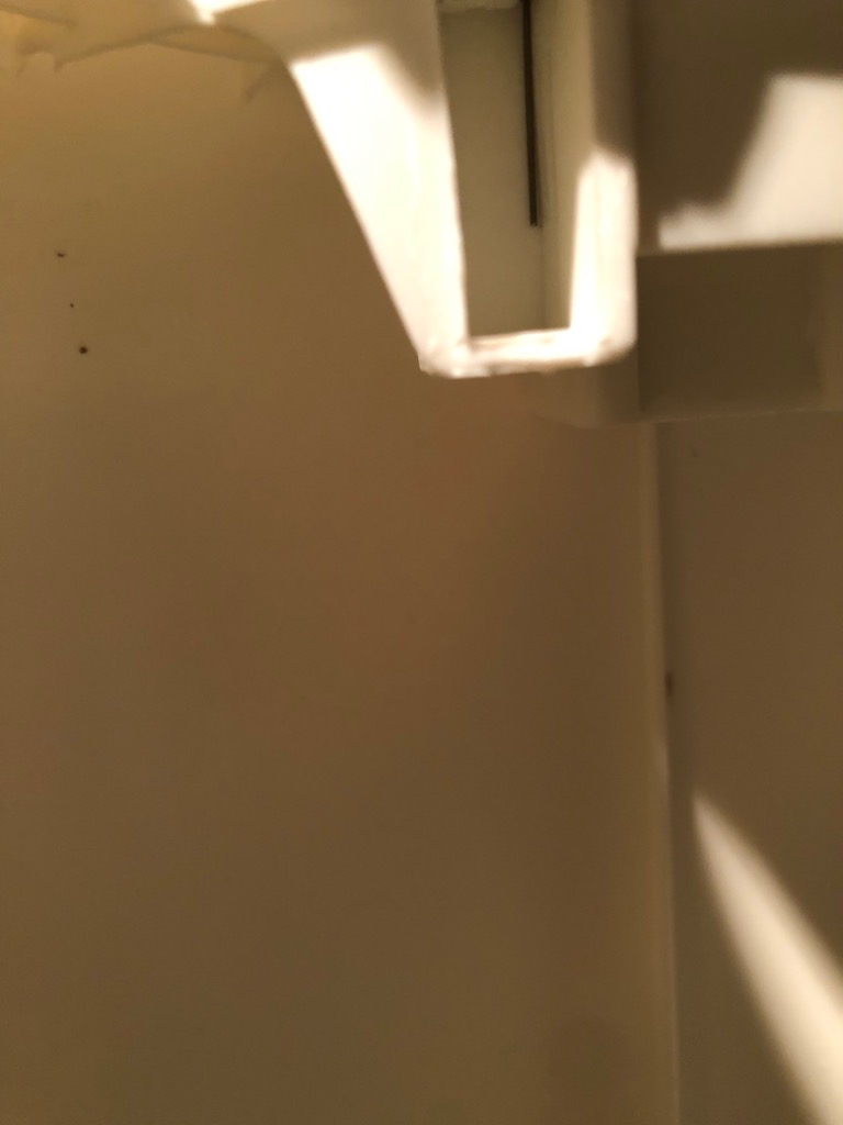 全体のレビュー画像 | 1-2