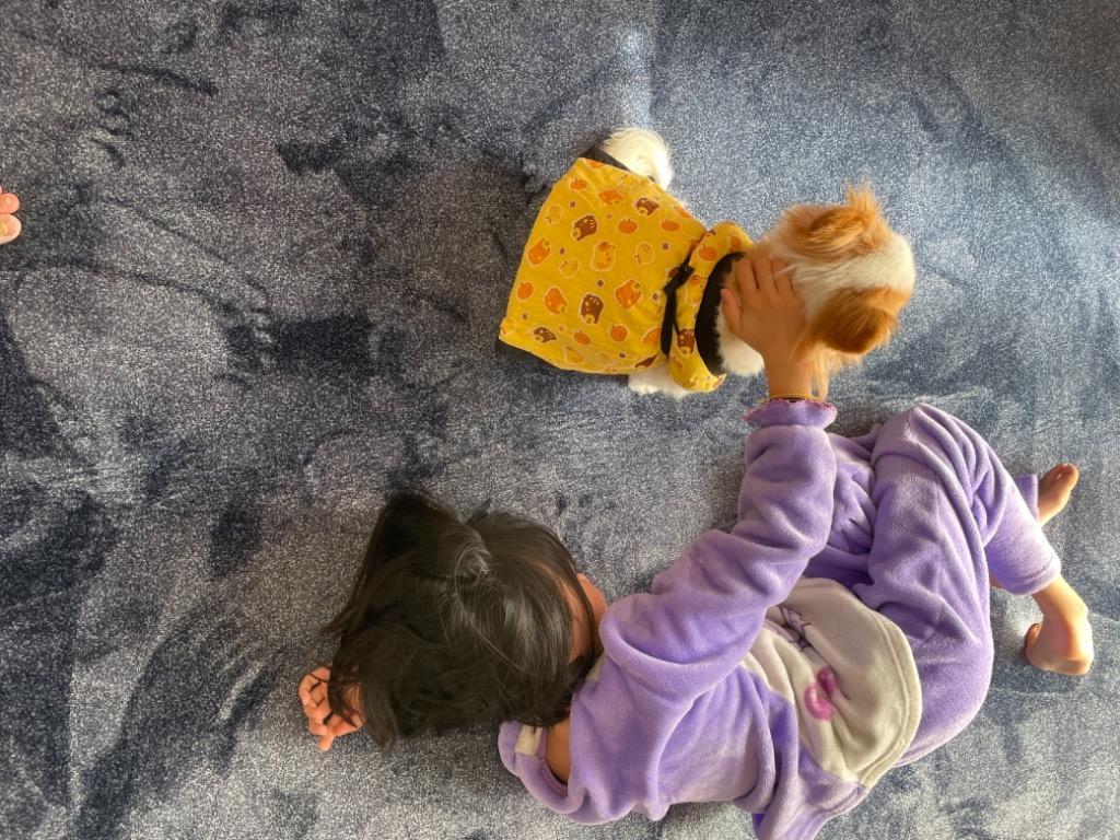 全体のレビュー画像 | 15-0