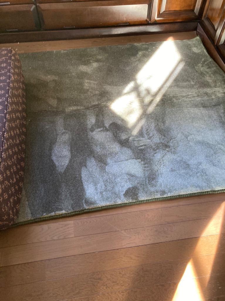 全体のレビュー画像 | 0-0