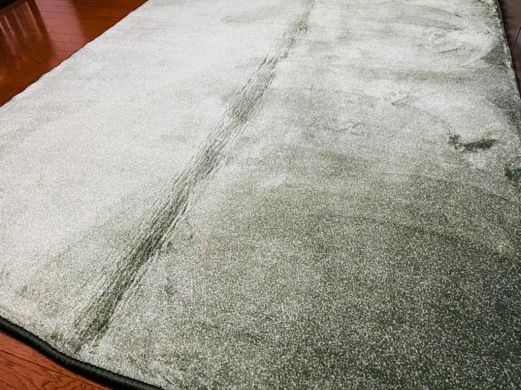 全体のレビュー画像 | 2-1