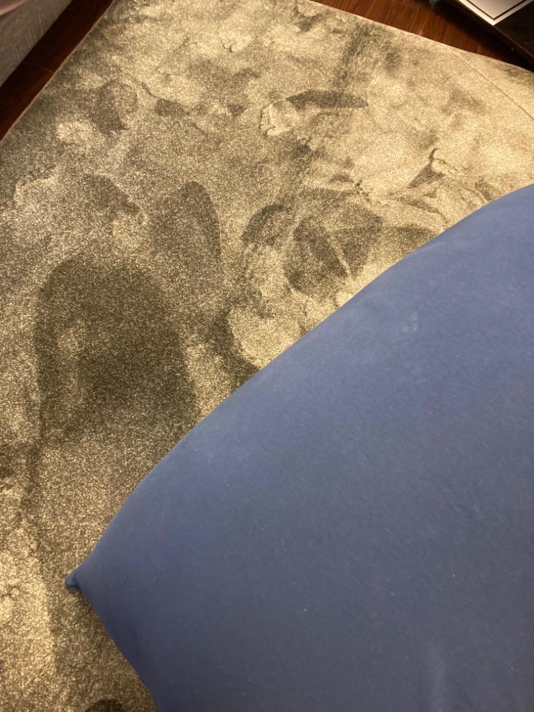 全体のレビュー画像 | 11-0