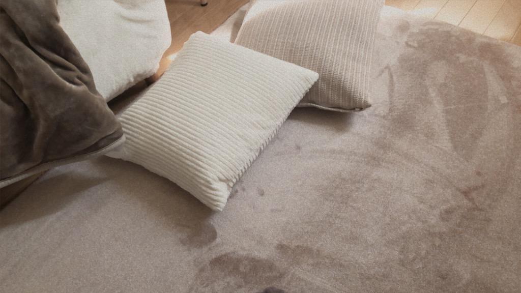 全体のレビュー画像 | 13-0