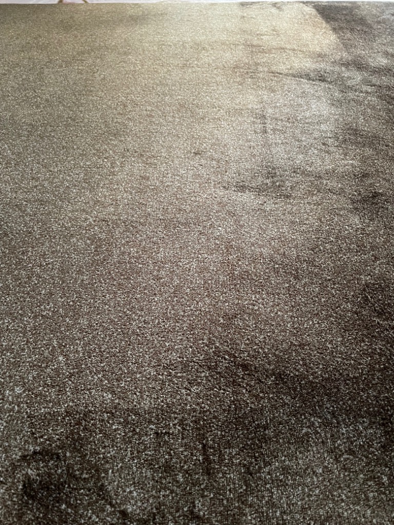 全体のレビュー画像 | 1-0