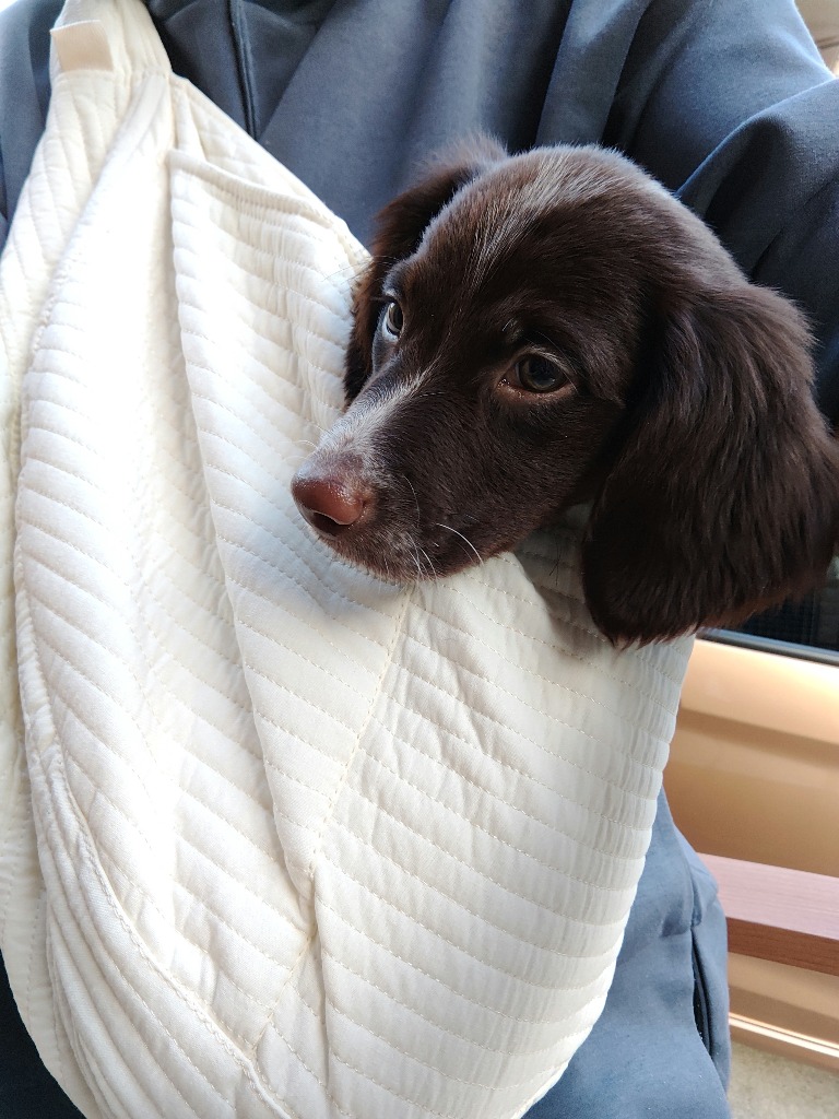 全体のレビュー画像 | 8-0