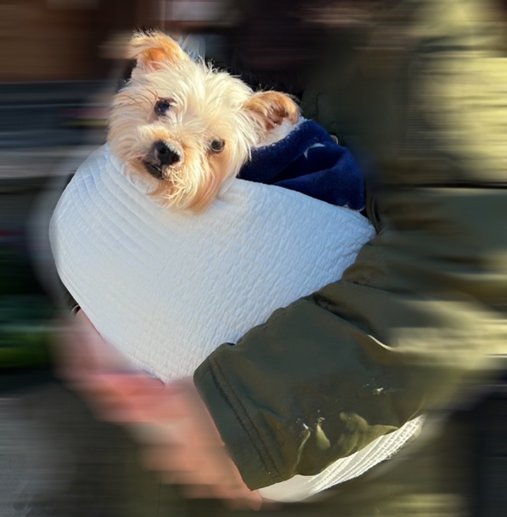 全体のレビュー画像 | 5-0