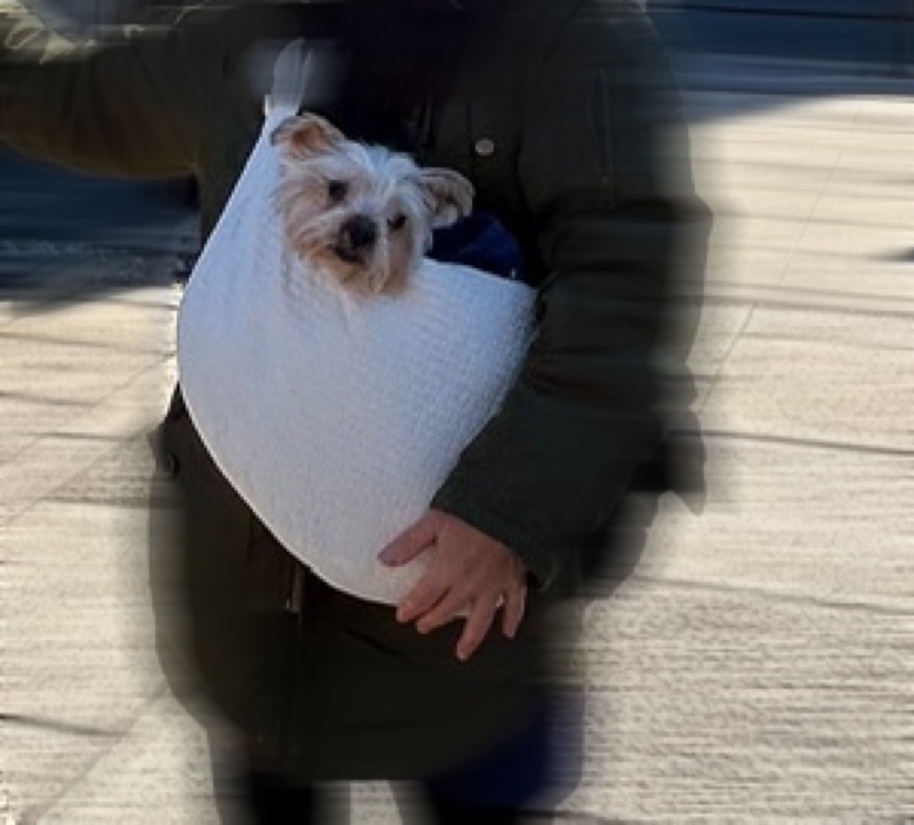 全体のレビュー画像 | 5-1