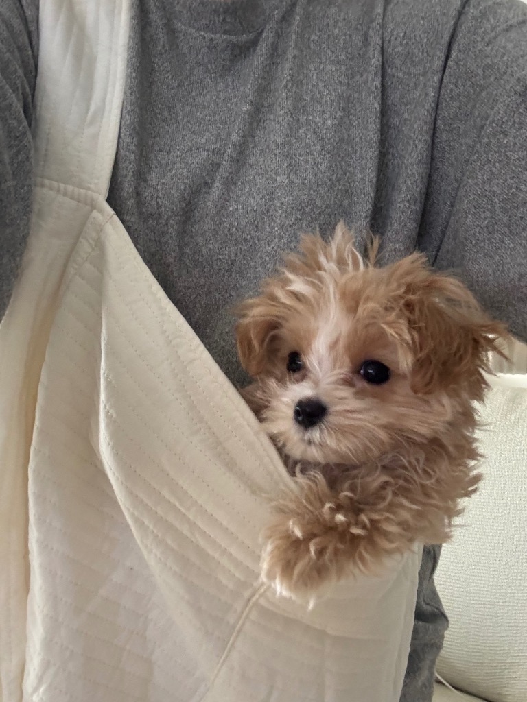 全体のレビュー画像 | 4-0