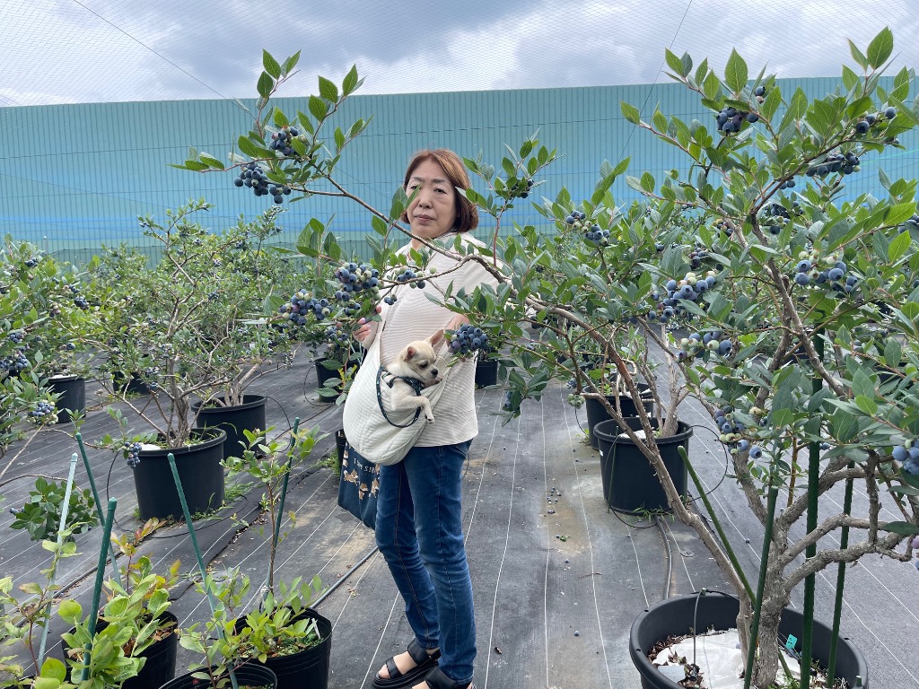 全体のレビュー画像 | 0-0