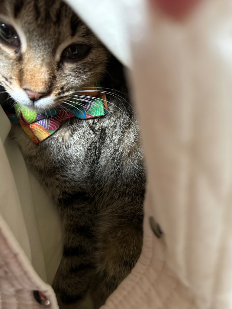 全体のレビュー画像 | 7-0