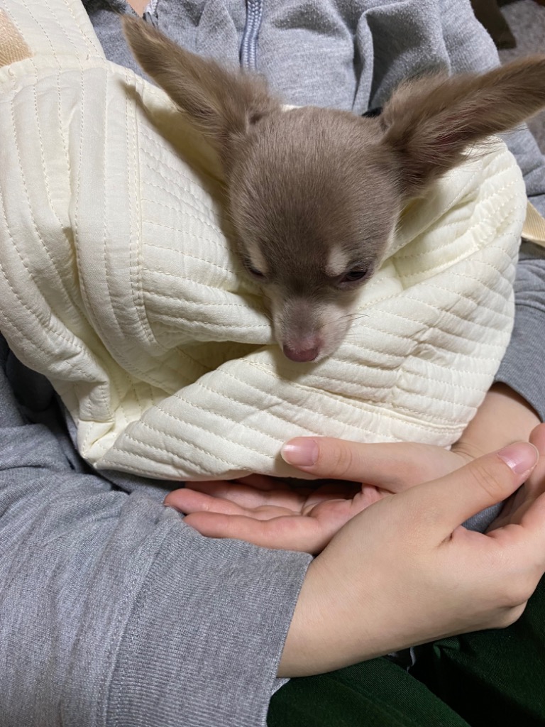 全体のレビュー画像 | 9-0