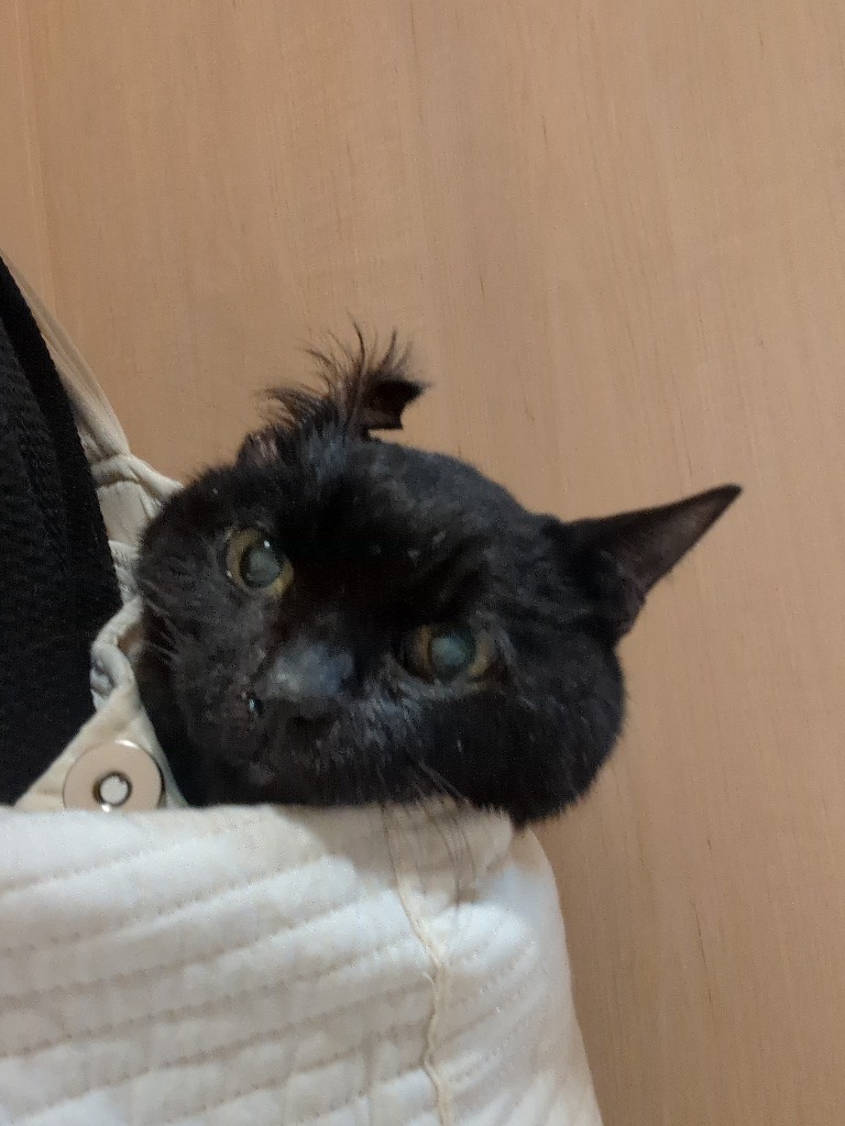 全体のレビュー画像 | 6-0