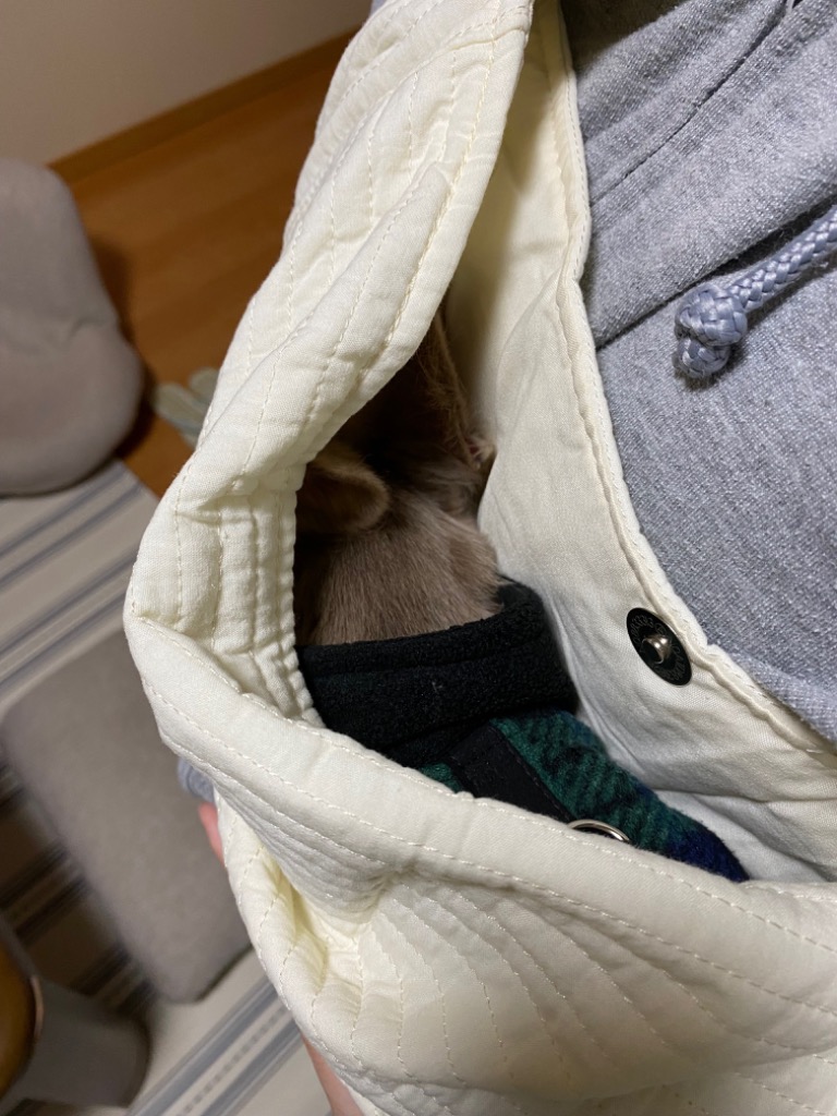 全体のレビュー画像 | 9-1