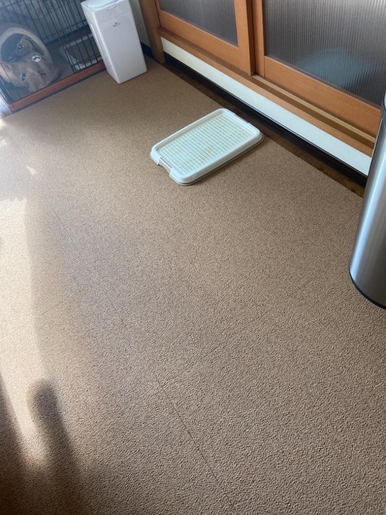 全体のレビュー画像 | 2-0