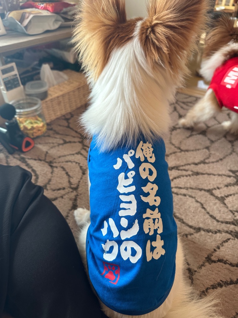 レビュー画像