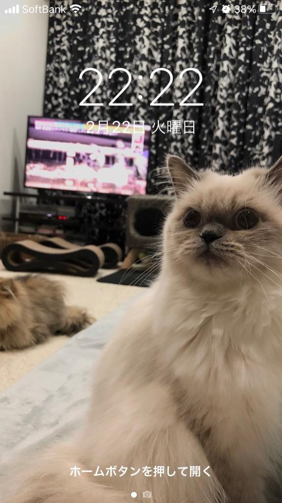 4件目のレビュー画像 | 0