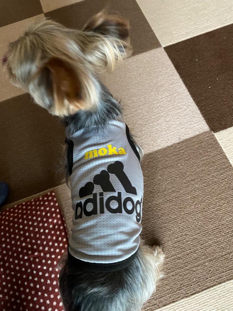 犬服 タンクトップ アディドッグ 小型犬 メッシュ 夏 春 服
