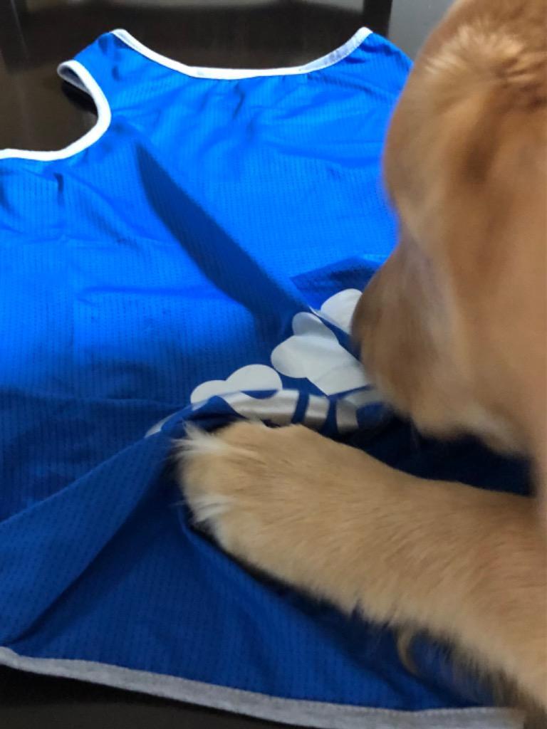 レビュー画像