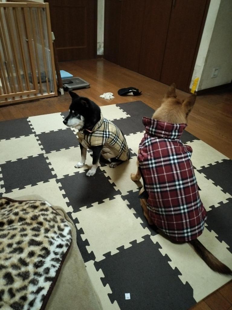 犬 犬服 冬 （リバーシブル チェック柄 コート） 中型犬 大型犬