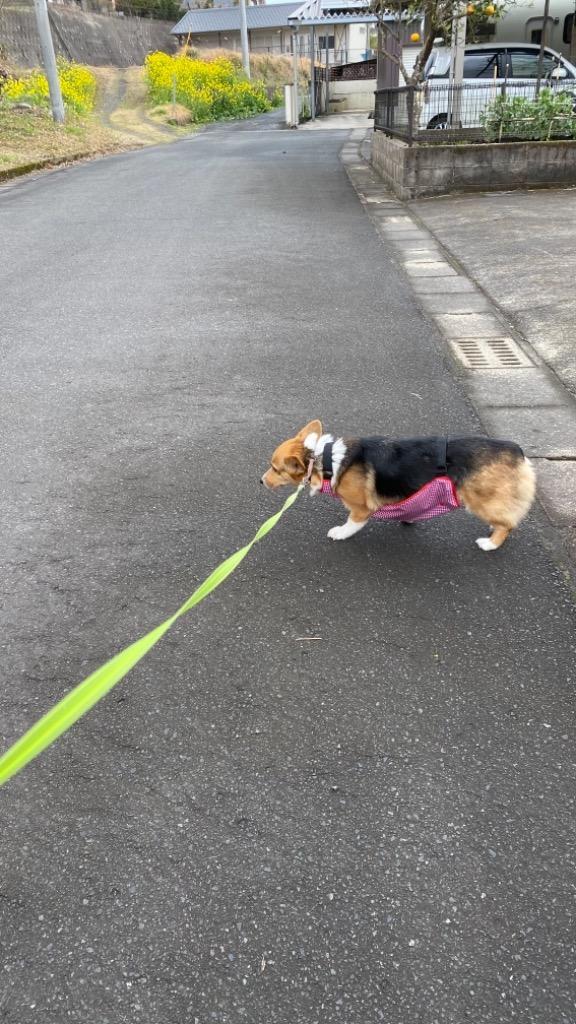 犬屋オリジナル 犬 泥よけ エプロン 中型犬 雨 雪 簡単 雨具 カッパ 泥はね防止 レインコート ( コーギー 柴犬 フレンチブルドッグ フレブル ボーダーコリー ラ :idwt-ch101:犬屋 Yahoo!店 - 通販 - Yahoo!ショッピング 犬屋オリジナル 犬 泥よけ エプロン 中型犬 雨 雪 簡単 雨具 カッパ 泥はね防止 レインコート ( コーギー 柴犬 フレンチブルドッグ フレブル ボーダーコリー ラ :idwt-ch101:犬屋 Yahoo!店 - 通販 - Yahoo!ショッピング