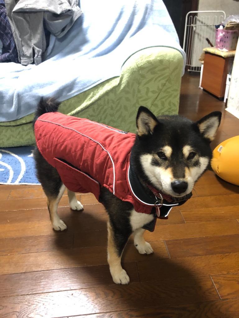 6件目のレビュー画像 | 1