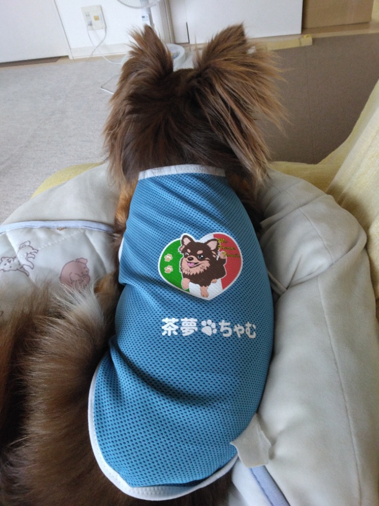 1件目のレビュー画像 | 0