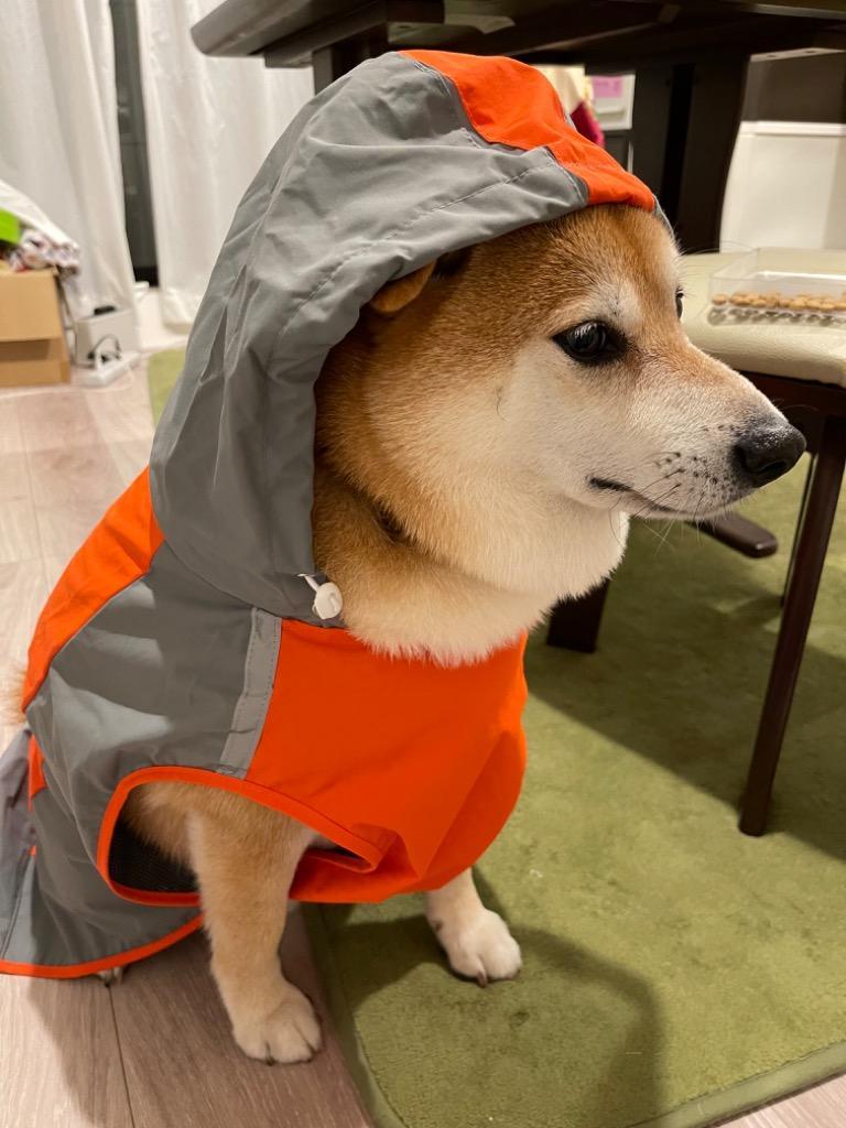 犬 イージー レインコート 中型犬 大型犬 犬屋 オリジナル ( 名前入れ ...