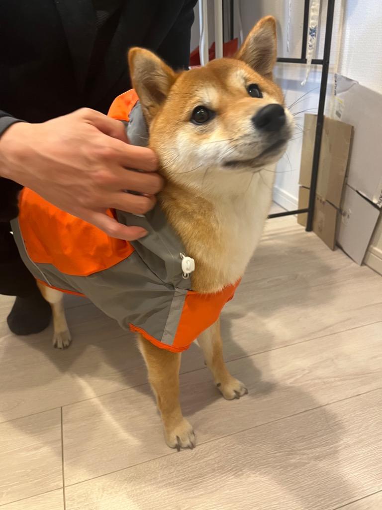 9件目のレビュー画像 | 0