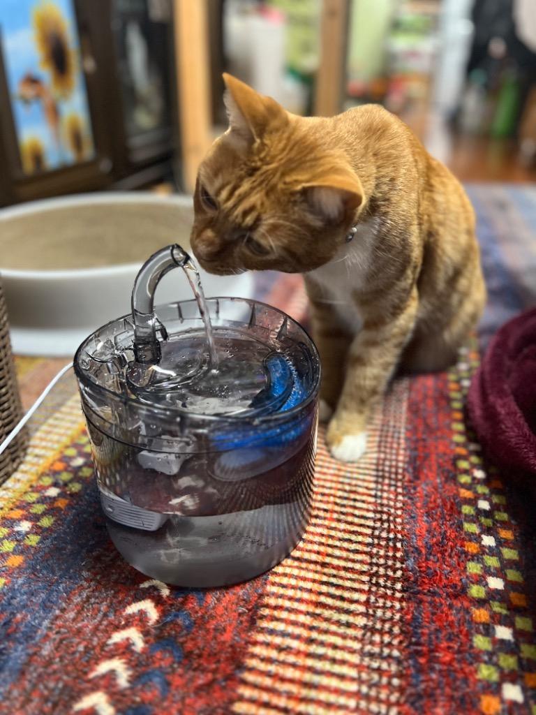 自動給水器 猫 犬 給水器 ペット給水器 水飲み器 自動 活性炭