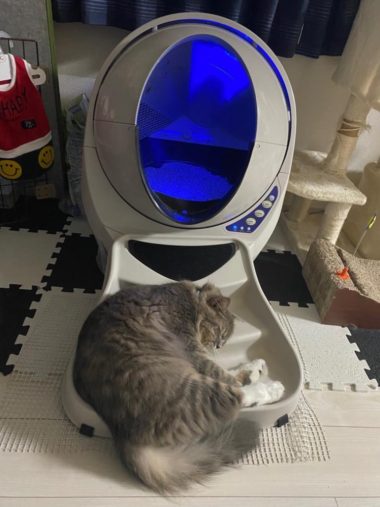 レビューを書けば送料当店負担 限定特価中 キャットロボット オープンエアー専用ステップ 自動 トイレ 掃除 猫 ねこ ネコ おすすめ