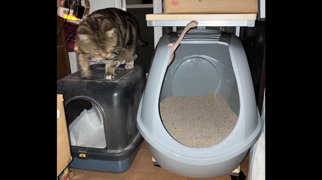 (2 15-29 猫の日フェア) [大型 猫トイレ メガスマート(本体)] 猫 ねこ ネコ ネコトイレ ねこトイレ 大きめ 深い 深め　高い 高め スプレー