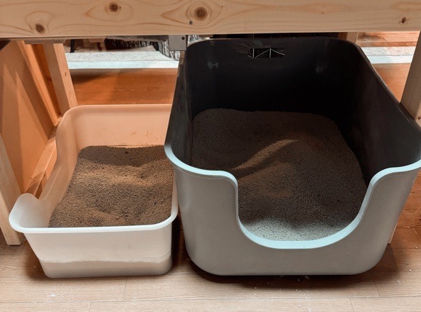 全体のレビュー画像 | 1-1