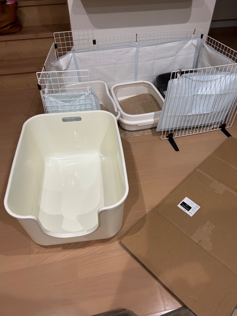 全体のレビュー画像 | 0-0