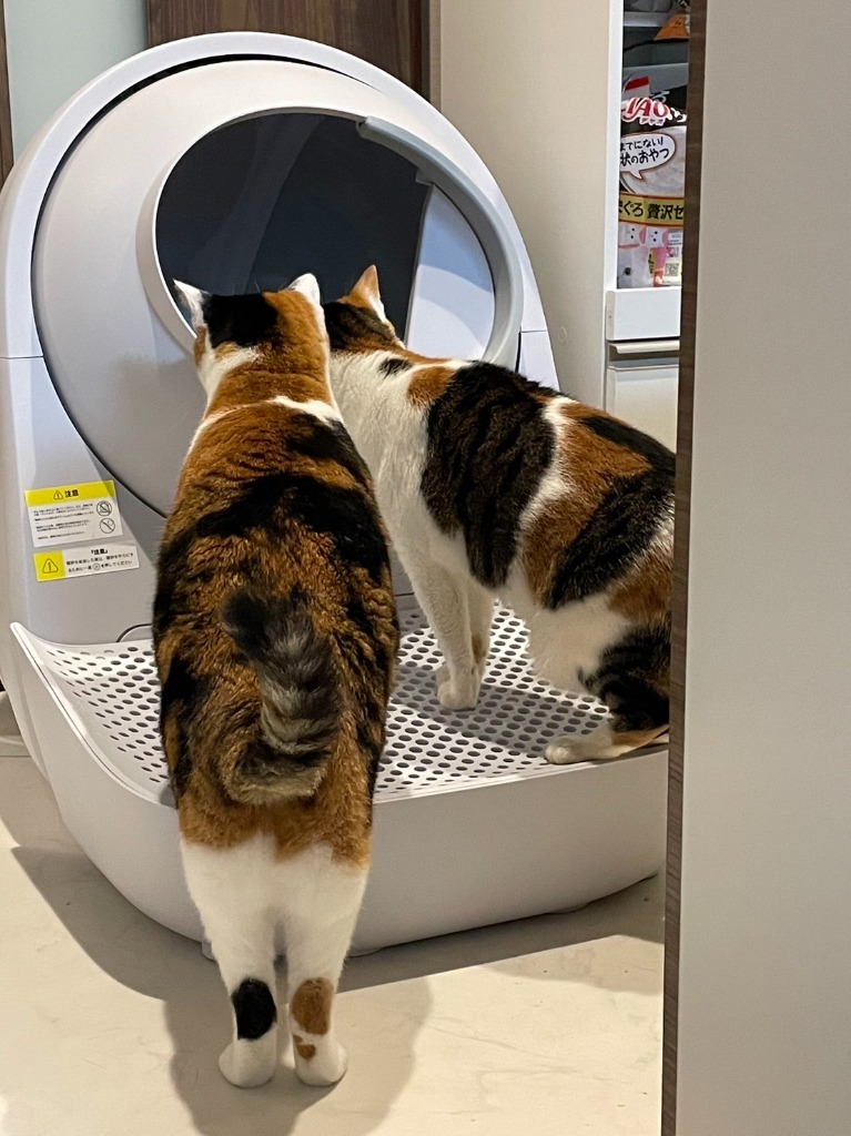 全体のレビュー画像 | 4-0