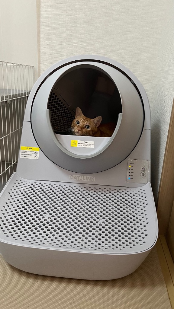1件目のレビュー画像 | 0